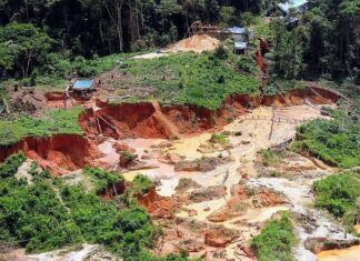 Funai diz não ter encontrado indícios de crimes em terra Yanomami