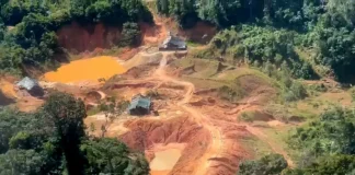 Garimpo ilegal usava trabalho análogo à escravidão no Amazonas