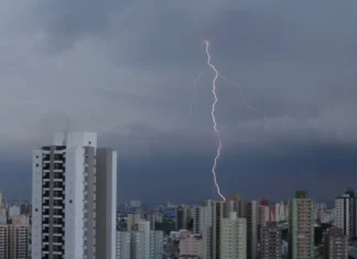 Temporal em São Paulo provoca alagamentos e quedas de árvores