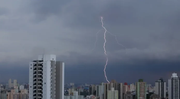 Temporal em São Paulo provoca alagamentos e quedas de árvores