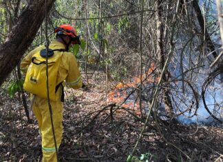 Defesa Civil alerta para risco de incêndio em razão das altas temperaturas