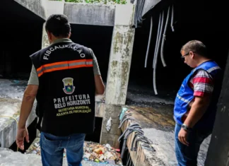 Dengue: prefeitura de Belo Horizonte decreta situação de emergência