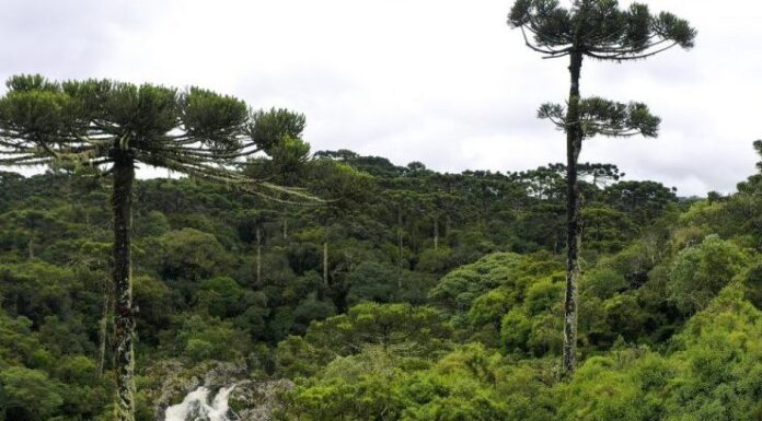 Deputados podem votar hoje o projeto que muda as regras do licenciamento ambiental Deputados podem votar hoje o projeto que muda as regras do licenciamento ambiental