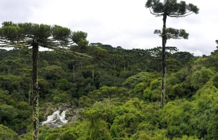 Deputados podem votar hoje o projeto que muda as regras do licenciamento ambiental