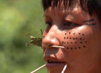 Observatório identifica 42 políticos com fazendas em terras indígenas