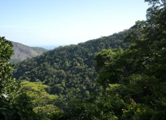 Meio ambiente: transição para economia de baixo carbono é prioridade