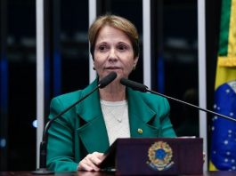 Tereza Cristina recusa ser vice de Flavio