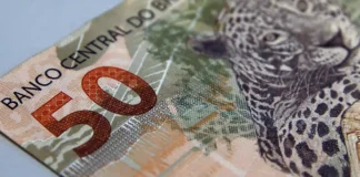 Fundações sem fins lucrativos pagam salários maiores que empresas