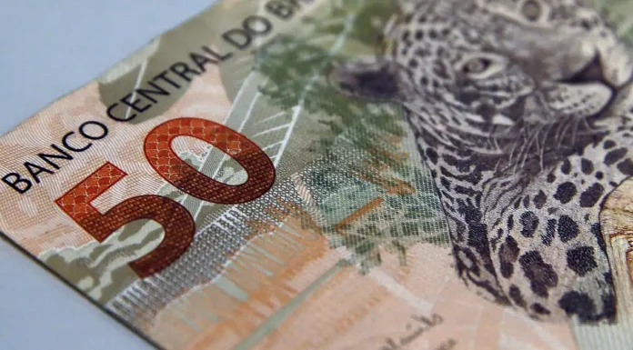 Fundações sem fins lucrativos pagam salários maiores que empresas