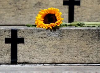 Crimes recentes mostram grave cenário de violência contra a mulher