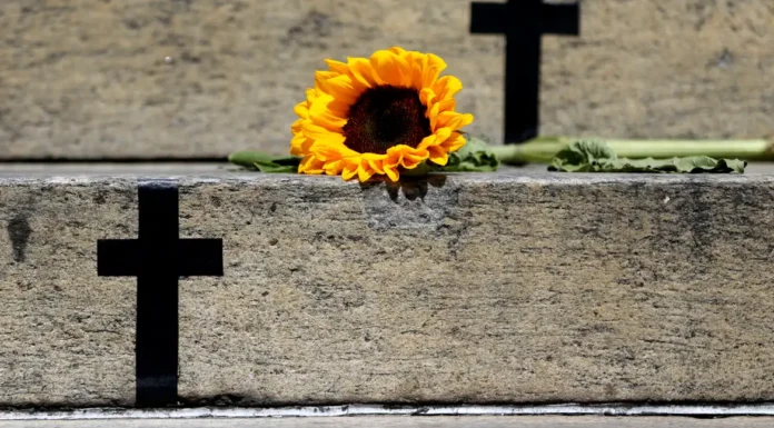 Crimes recentes mostram grave cenário de violência contra a mulher