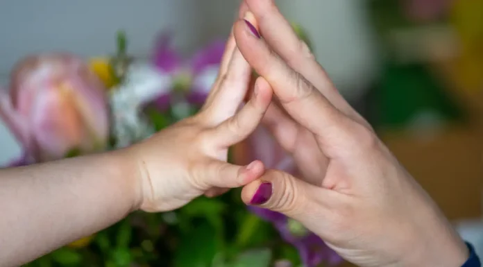 CCJ da Câmara aprova fim da lei de alienação parental