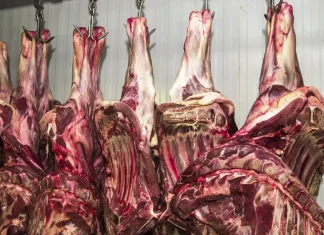 China abre investigação sobre importação de carne bovina