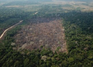 Forças Armadas atuarão em 26 municípios para coibir desmatamento