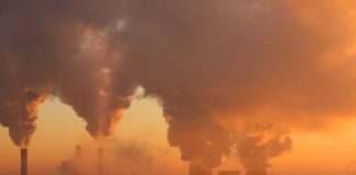 Eleições 2026: especialistas analisam desafios em educação, segurança, saúde mental, agronegócio e meio ambiente Eleições 2026: especialistas analisam desafios em educação, segurança, saúde mental, agronegócio e meio ambiente