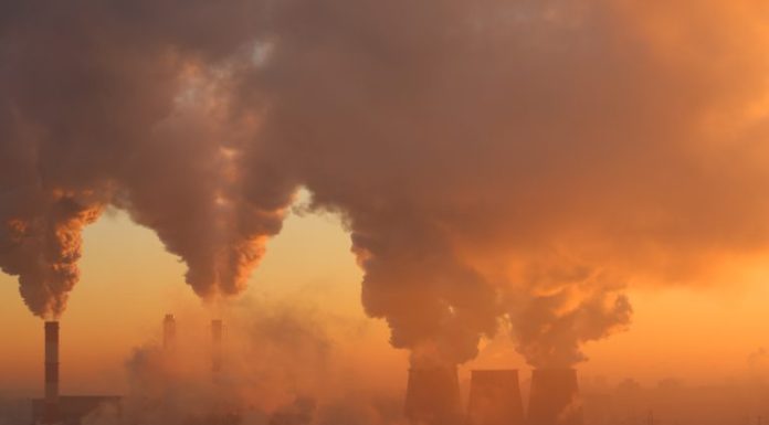 Eleições 2026: especialistas analisam desafios em educação, segurança, saúde mental, agronegócio e meio ambiente Eleições 2026: especialistas analisam desafios em educação, segurança, saúde mental, agronegócio e meio ambiente
