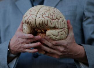 Estudo identifica enzimas que sobem em casos de traumatismo craniano