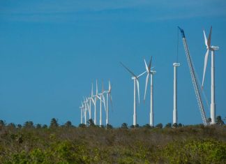 Nordeste tem segundo recorde consecutivo de geração de energia eólica