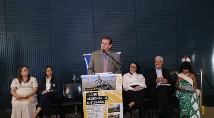 Especialistas apontam contaminação por mercúrio como problema de saúde pública Especialistas apontam contaminação por mercúrio como problema de saúde pública
