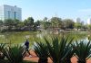 Serviços Públicos e Parques Funcionam com Alterações em Barueri no Feriado de Nossa Senhora Aparecida Parque Municipal Dom José em Barueri, aberto durante o feriado