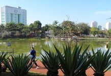 Serviços Públicos e Parques Funcionam com Alterações em Barueri no Feriado de Nossa Senhora Aparecida Parque Municipal Dom José em Barueri, aberto durante o feriado