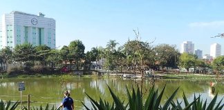 Serviços Públicos e Parques Funcionam com Alterações em Barueri no Feriado de Nossa Senhora Aparecida Parque Municipal Dom José em Barueri, aberto durante o feriado