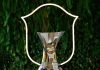CBF divulga calendário do futebol masculino para 2027 com pausa durante a Copa do Mundo Feminina Taça do Campeonato Brasileiro Masculino exposta em fundo natural