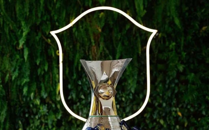 Taça do Campeonato Brasileiro Masculino exposta em fundo natural