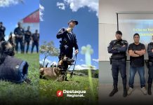 Guardas municipais de Cajamar e cidades vizinhas participam de curso sobre operações com cães policiais Treinamento de operações com cães policiais realizado em Cajamar, incluindo aulas teóricas e práticas sobre comportamento canino e técnicas de faro.