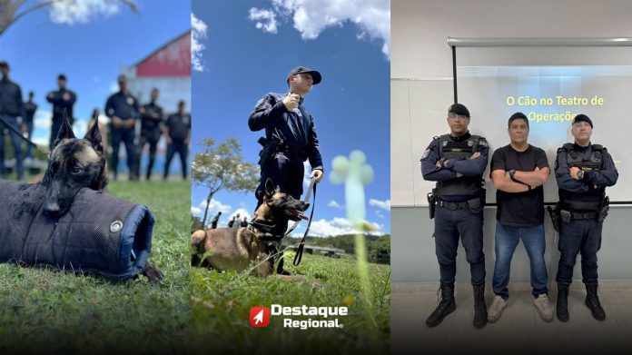 Treinamento de operações com cães policiais realizado em Cajamar, incluindo aulas teóricas e práticas sobre comportamento canino e técnicas de faro.