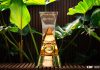 CBF divulga cronograma das últimas rodadas da Série B do Brasileiro Taça da Série B do Campeonato Brasileiro exibida em foto oficial da CBF, com plantas ao fundo