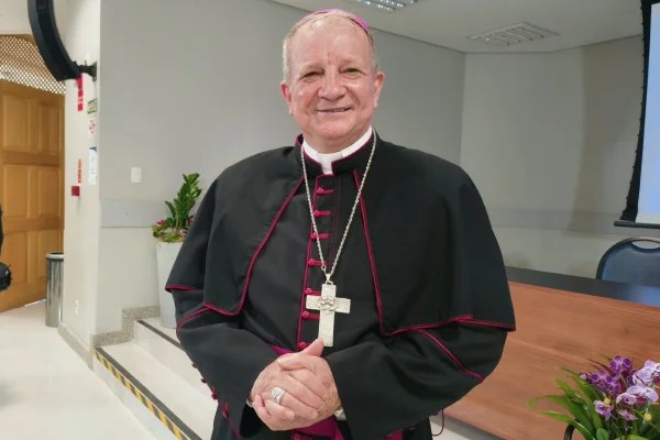 expresso-b913a464d1470b7871d30985 Arcebispo Dom Mário Antônio da Silva durante celebração no Santuário de Nossa Senhora Aparecida