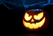 Centro Comercial Alphaville promove evento gratuito de Halloween em Barueri Abóbora de Halloween iluminada com decoração de teias de aranha ao fundo, simbolizando o clima do evento temático no Centro Comercial Alphaville, Barueri.