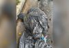 Polícia Civil prende suspeitos ligados a corpos encontrados em sacos em São Paulo Corpo encontrado em sacos plásticos na rua sendo investigado pela Polícia Civil em São Paulo.