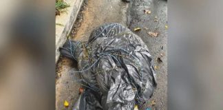 Polícia Civil prende suspeitos ligados a corpos encontrados em sacos em São Paulo Corpo encontrado em sacos plásticos na rua sendo investigado pela Polícia Civil em São Paulo.
