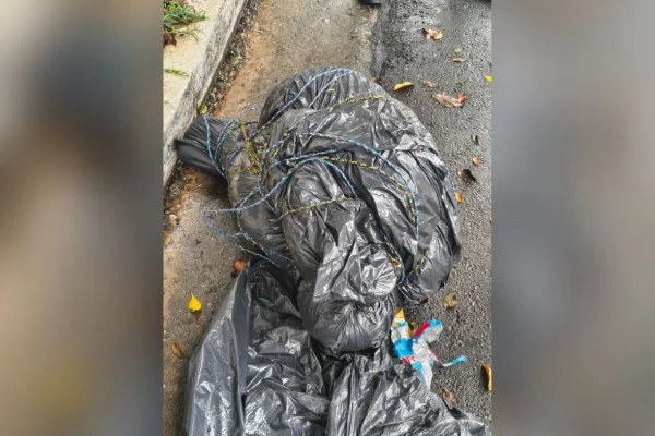 expresso-c794bb4819fcf847525b2f61 Corpo encontrado em sacos plásticos na rua sendo investigado pela Polícia Civil em São Paulo.