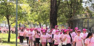 Barueri encerra Outubro Rosa com Caminhada no Parque Dom José Participantes da Caminhada Rosa vestindo camisetas e bonés cor de rosa, caminhando no Parque Municipal Dom José em Barueri