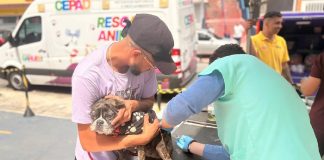 Barueri promove atendimento veterinário gratuito para pets no Jardim Líbano Veterinário aplica vacina em cão durante atendimento gratuito do programa Saúde Animal em Barueri.