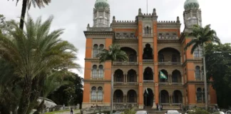 Rede Genômica Fiocruz cria novo painel de dados sobre dengue