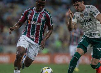Brasileiro: Palmeiras sai na frente com golaço, mas Flu empata em casa