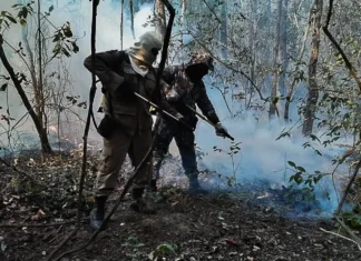 Governo reforça ações de combate ao fogo no Pantanal