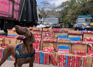 PRF apreende 2 toneladas de maconha escondida em carreta na Via Dutra