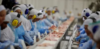 Indústria de alimentos é a que mais emprega no Brasil, diz IBGE