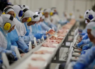 Indústria de alimentos é a que mais emprega no Brasil, diz IBGE