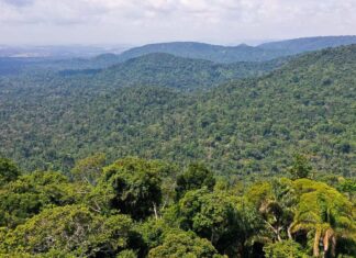Funai prorroga restrição de ingresso na Terra Indígena Pirititi