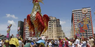Dirigentes de blocos de carnaval debatem incentivo após reconhecimento