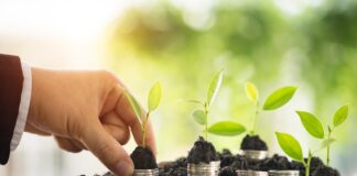 MME diz que usina de CO2 Verde é mais uma fonte energética para o país