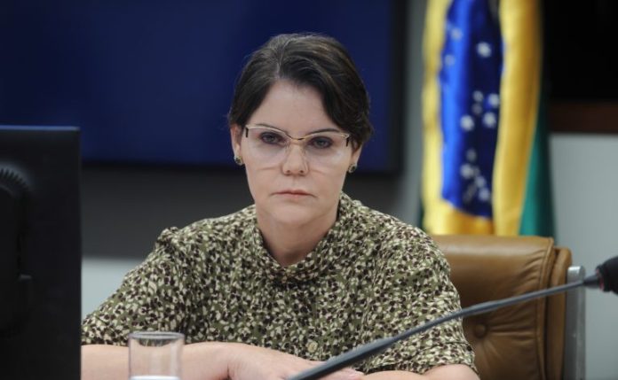 Governo relata diminuição de 94% em áreas de garimpo na Terra Indígena Yanomami