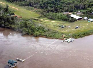 Dinamarca pode doar R$ 110 milhões para Fundo Amazônia