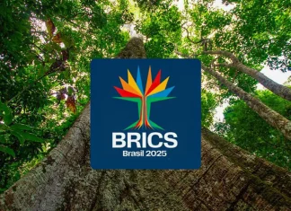 Brics têm mais de 40% da população e 37% do PIB mundiais